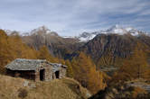 20091028_130807 Colvedro.jpg